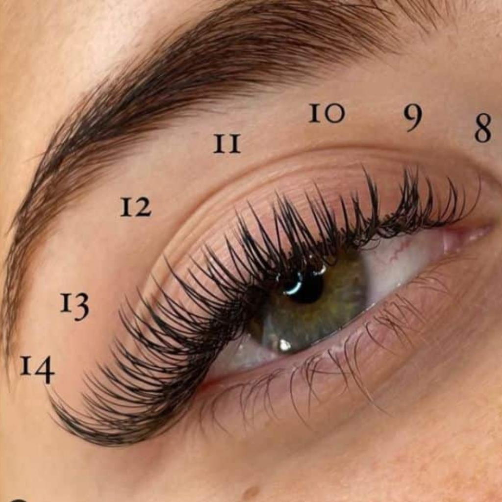 What length of Eyelash Extension should I get? - Lashbrow Artist