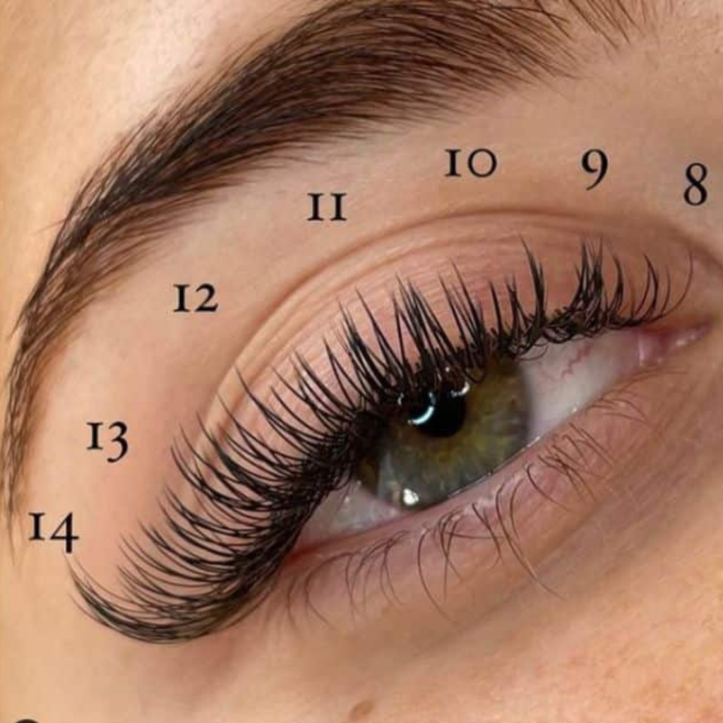 The Cat Eye Eyelash Extensions Lashbrow Artist